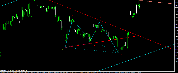 butterfly bullish eurusd.gif