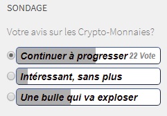 Sondage-crypto.jpg