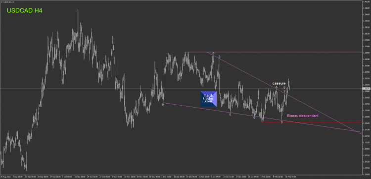 781.1 USDCAD H4 Biseau descendant.png