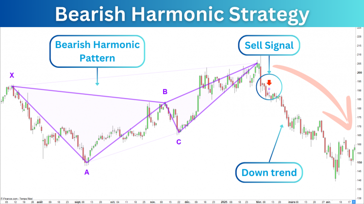 Bearish_Harmonic_Strategy_21.png