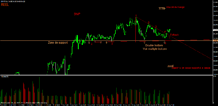 bnp 1.gif