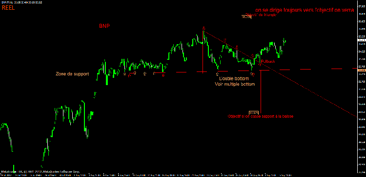 bnp 3.gif
