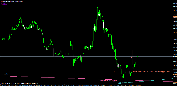double bottom larvÃ© du gpbusd.gif