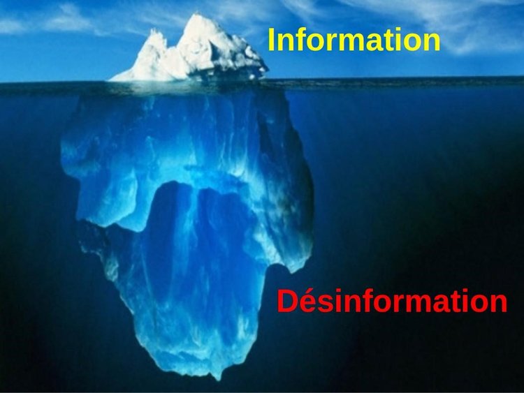 Désinformation.jpg