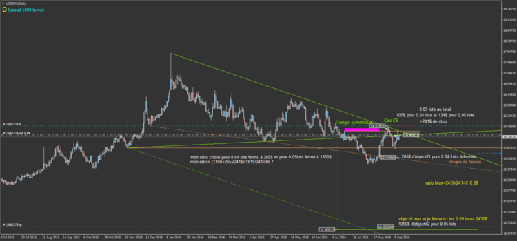 43.a2 USDZARDaily.png