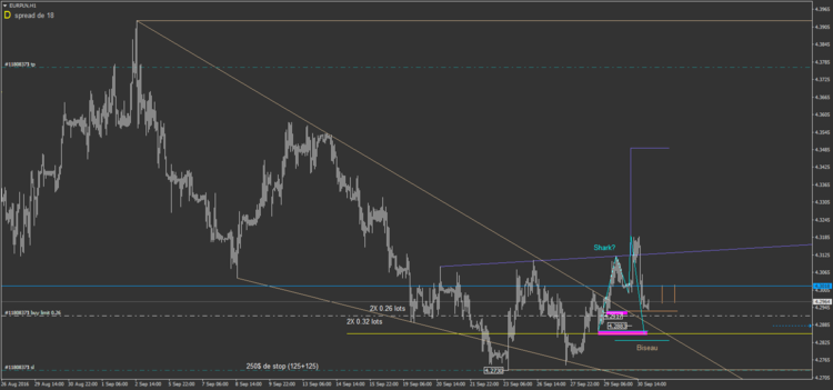 19.2 EURPLN H1.png