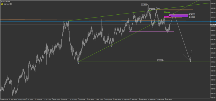 31.3 NZDCADH4.png