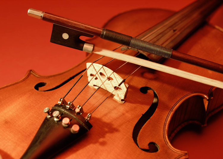 VIOLON.jpg